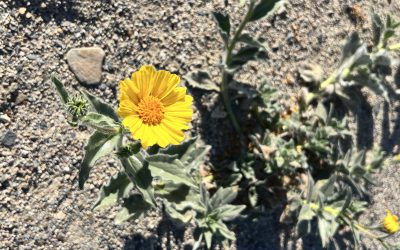 There is Always a Place of Creativity